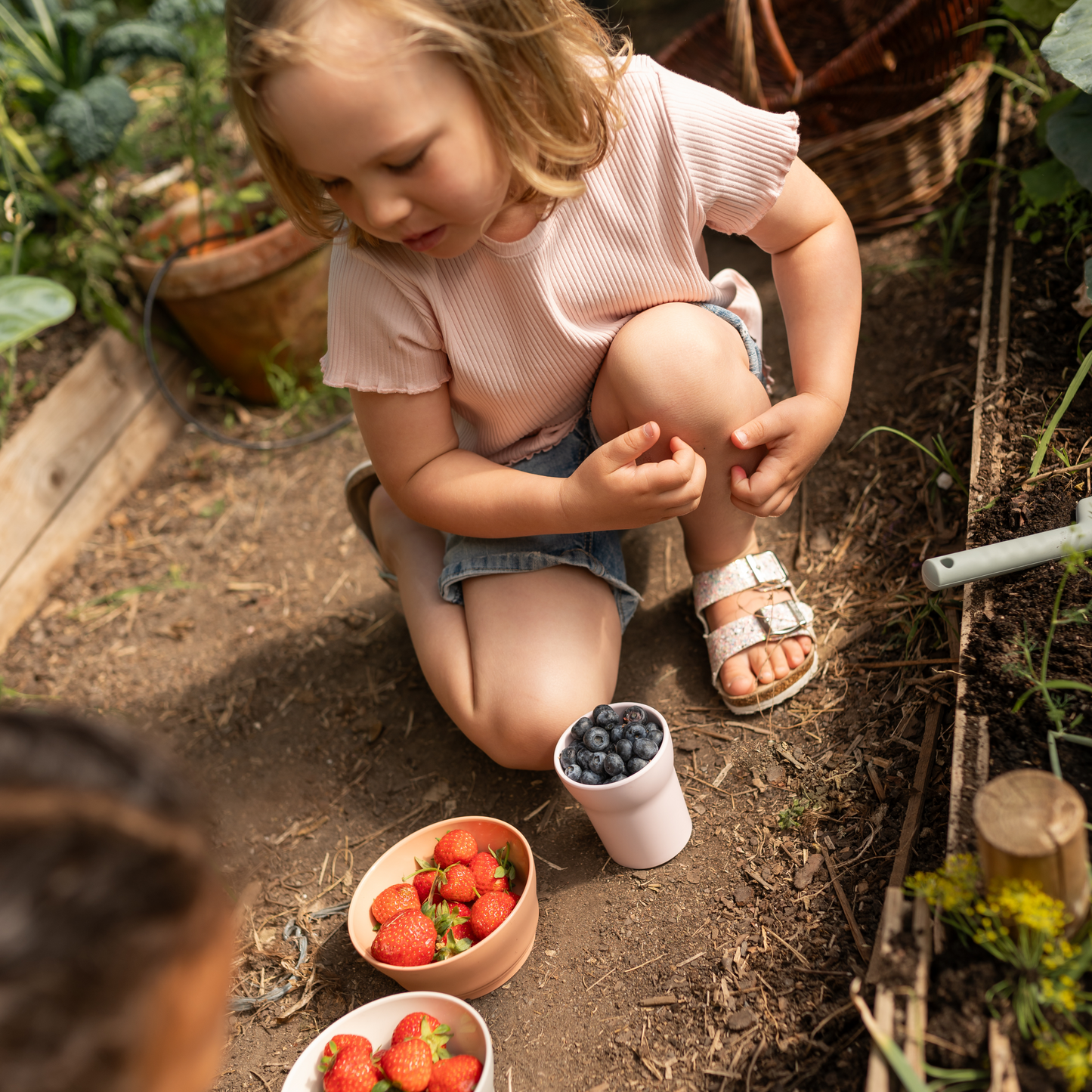 My First Bites komplekt laste lauanõud (Suhkruvatt)