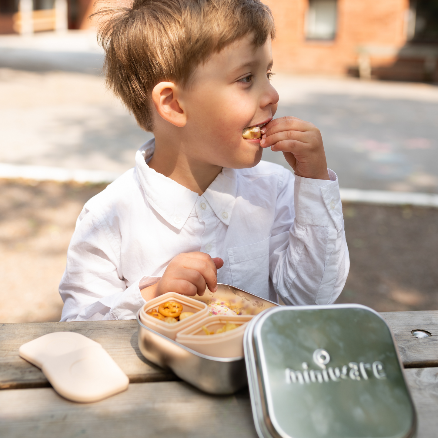 GrowBento – einekarp (Kroom/virsik)