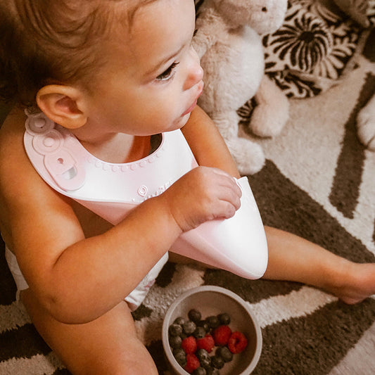 First Bites Deluxe komplekt (Suhkruvatt)