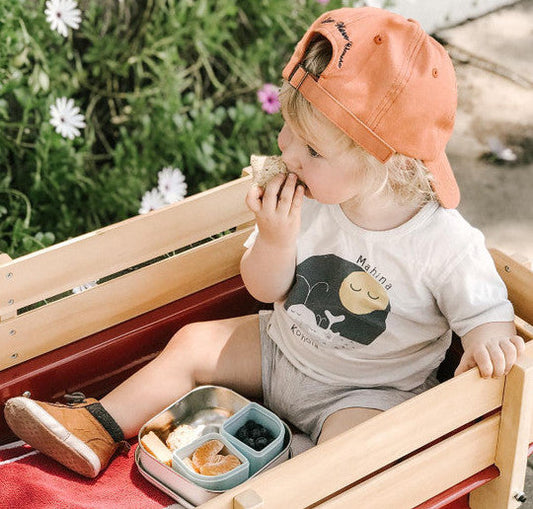 GrowBento – einekarp (Valge/hall)