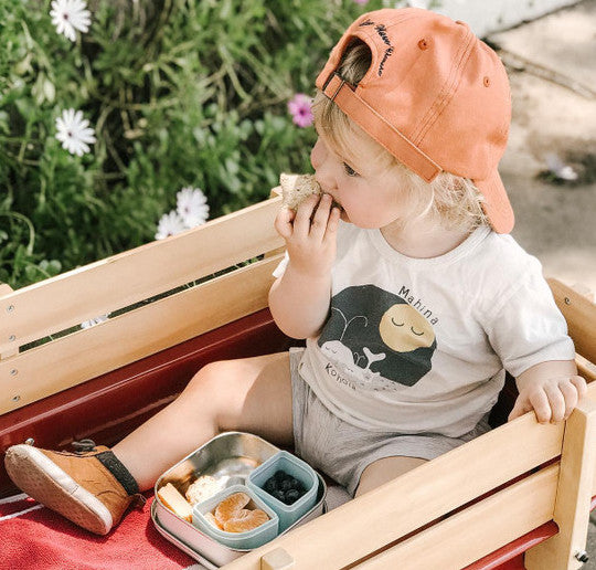 Ready Go Bento – lõunakott ja toidunõu (kuldne pääsuke)